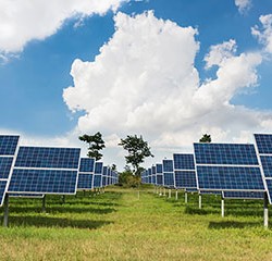 Agricultural Solar Agricultural Solar